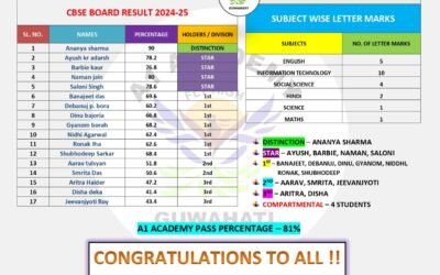 CLASS X CBSE BOARD EXAMINATION RESULTS(2024-25)